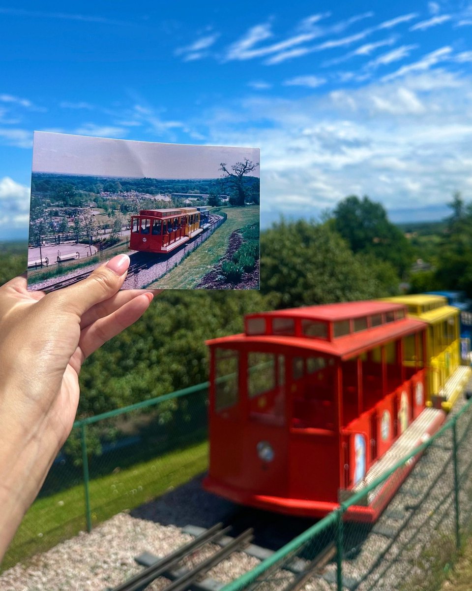 Merlin Annual Pass UK tweet media