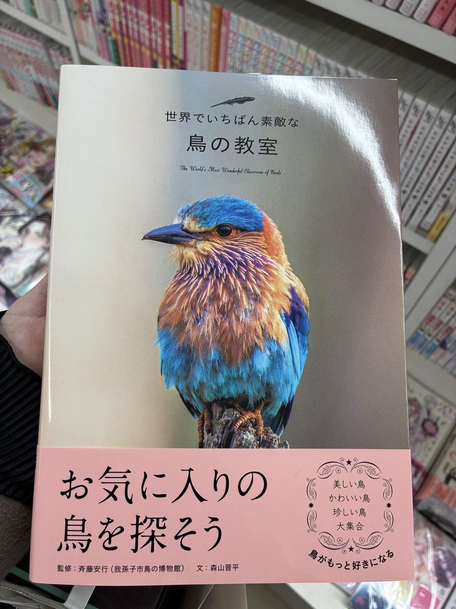 これは本日の衝動買い