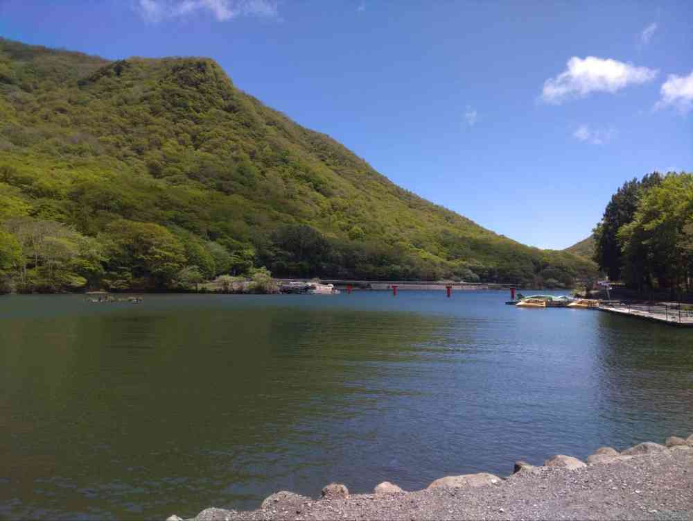 ダイナム下館店 tweet media