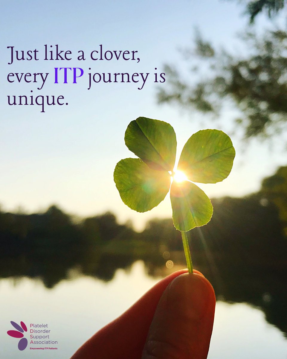 PDSA ITP SUPPORT tweet media