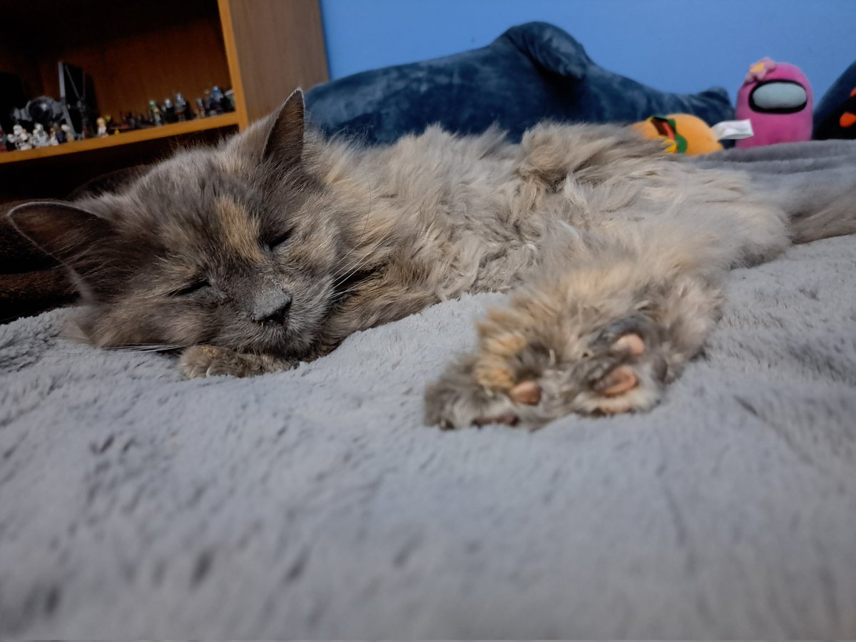 JenTheDummy tweet media