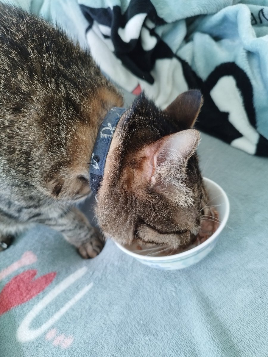 美的不明顯的姊姊 tweet media