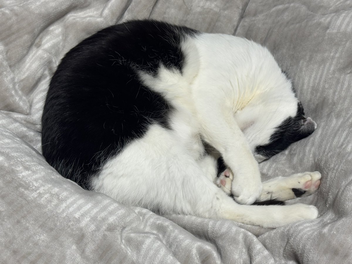 真下正樹 tweet media