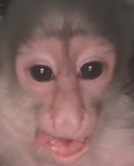 jorge... you deserve higher :)