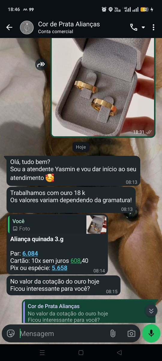 Emezoom's tweet photo. Glr, como as coisas estão absurdas, vey!
Eu estava procurando umas alianças e tal, aí encontrei uns par simples e bonito 
Descido fazer orçamento.
Resultado: 6kl https://t.co/TRZNxw48Hx
