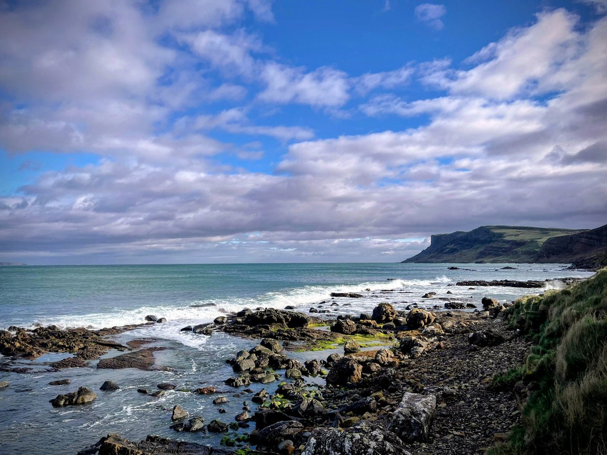 Anne Kelly ⛔NO DMs⛔ unless I know or follow you. tweet media