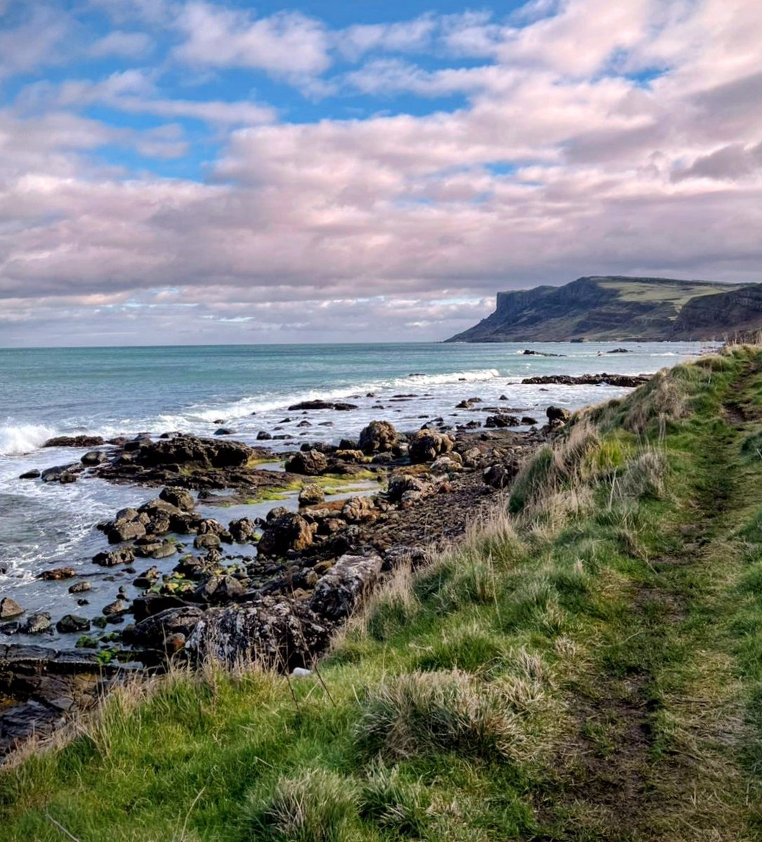 Anne Kelly ⛔NO DMs⛔ unless I know or follow you. tweet media