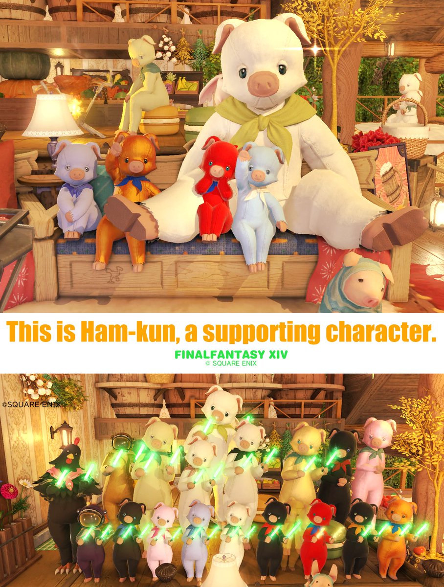 見きれるカイ |🐽˙) tweet media