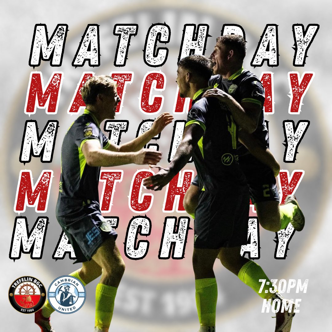 Trefelin BGC tweet media