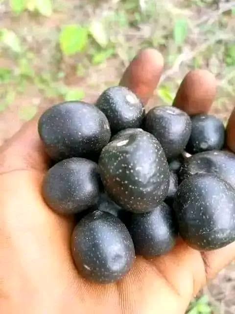 Chioma Genia tweet media