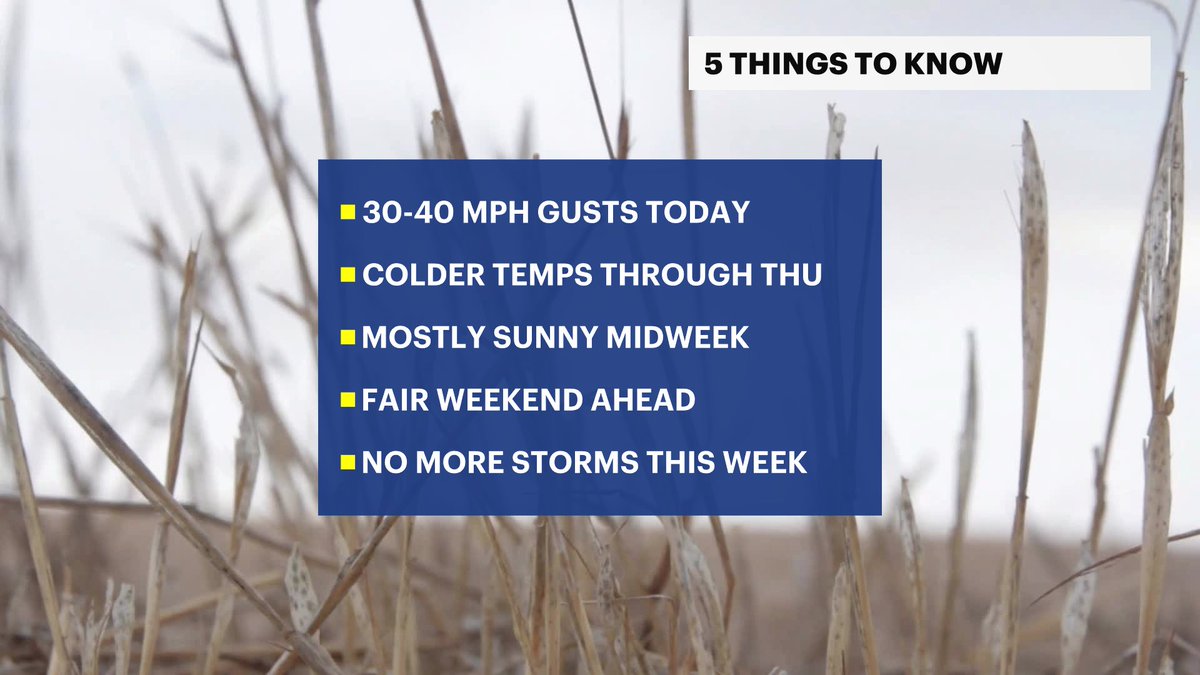 Mike Rizzo tweet media