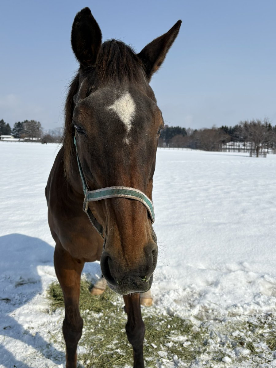 LakeVillaFarm tweet media