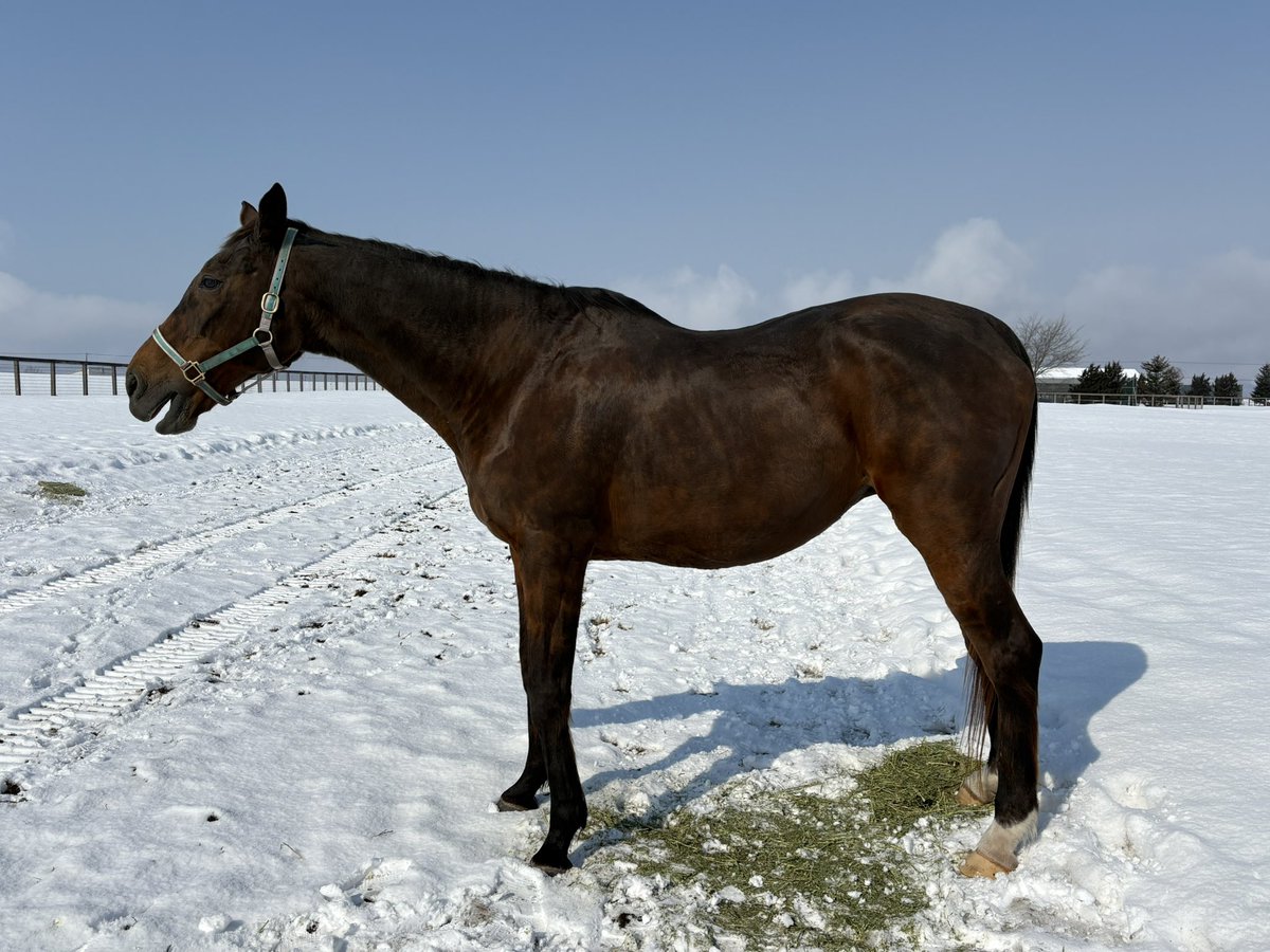 LakeVillaFarm tweet media