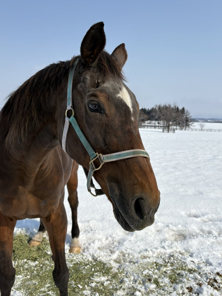 LakeVillaFarm tweet media