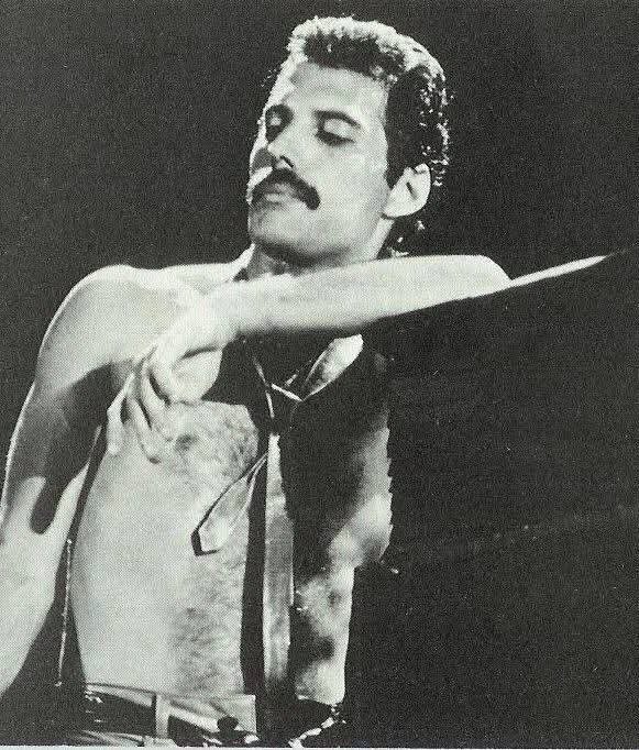 Lily of the Valley tweet media