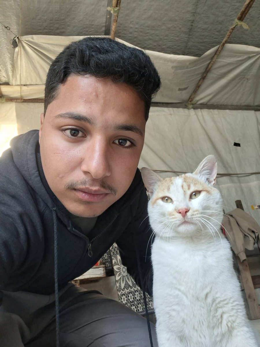 Ameen Aljbour tweet media