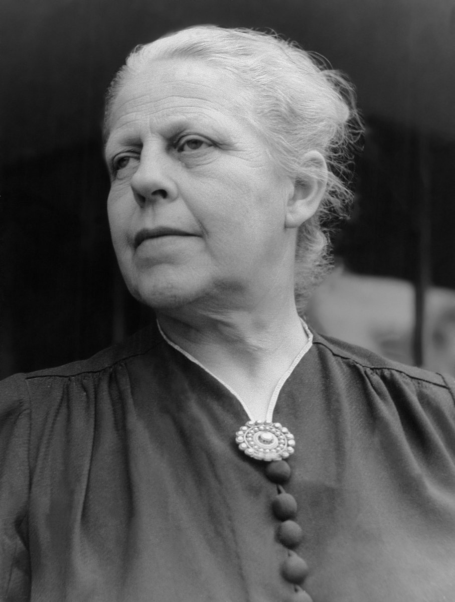 Felix Bohr tweet media