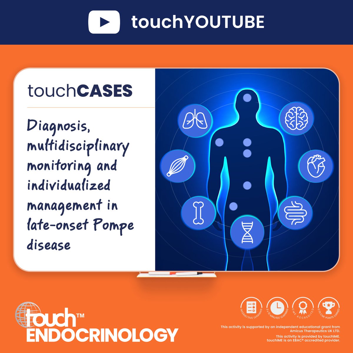 touchENDOCRINOLOGY tweet media