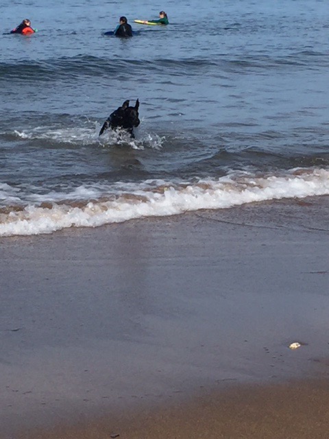 Jack Leavers tweet media