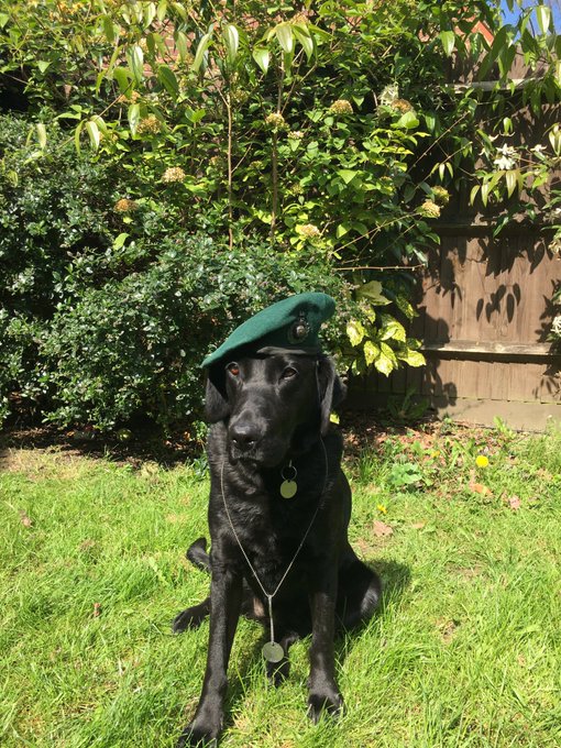 Jack Leavers tweet media