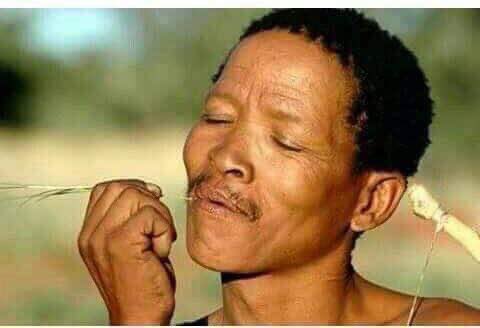 Is the Islamic State of Iran standing with Maiduguri?