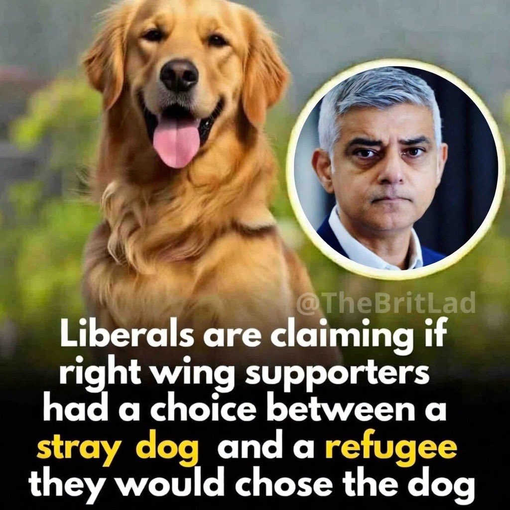 Would you choose a stray dog or an immigrant?