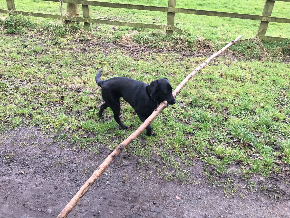 Jack Leavers tweet media