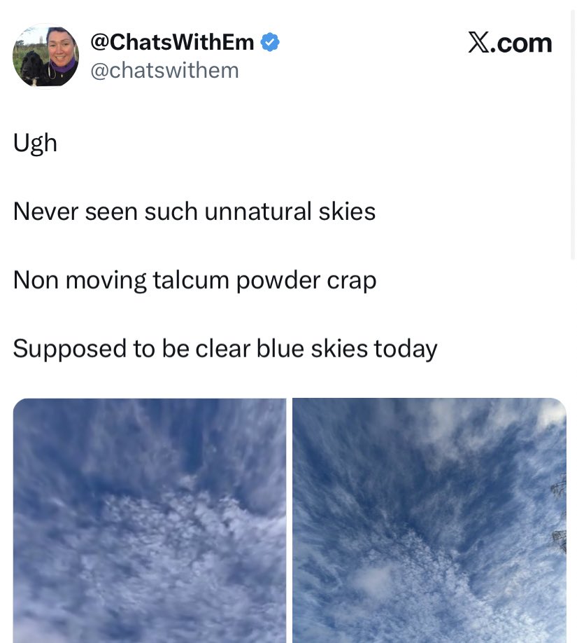 Ben Smith tweet media