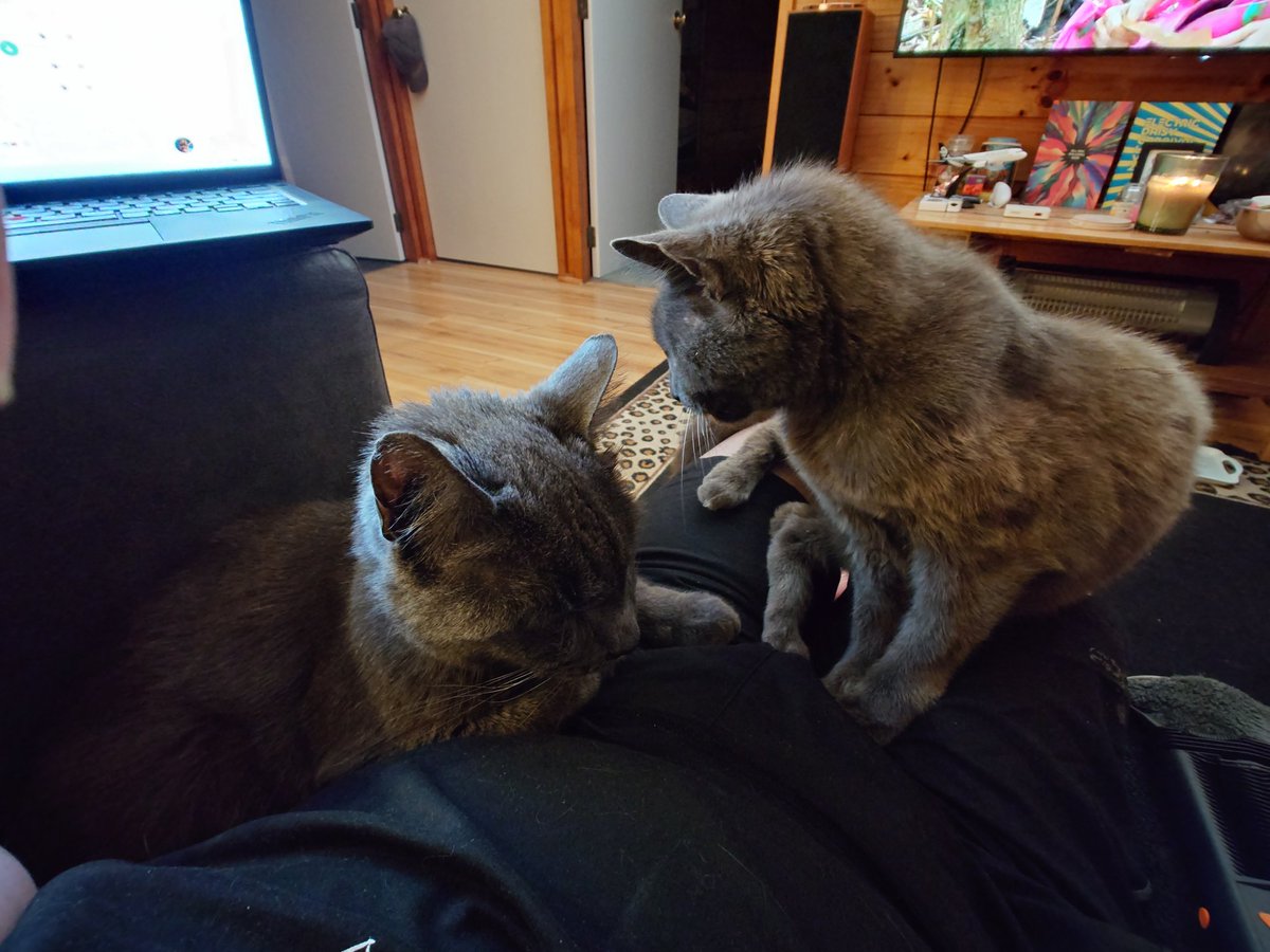 Kamadan Uncia tweet media