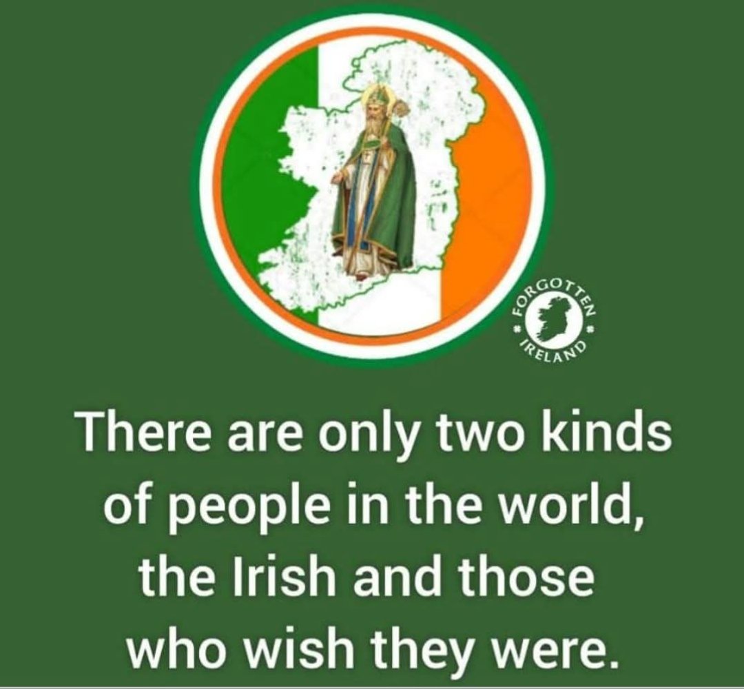 The Irish wolfhound tweet media