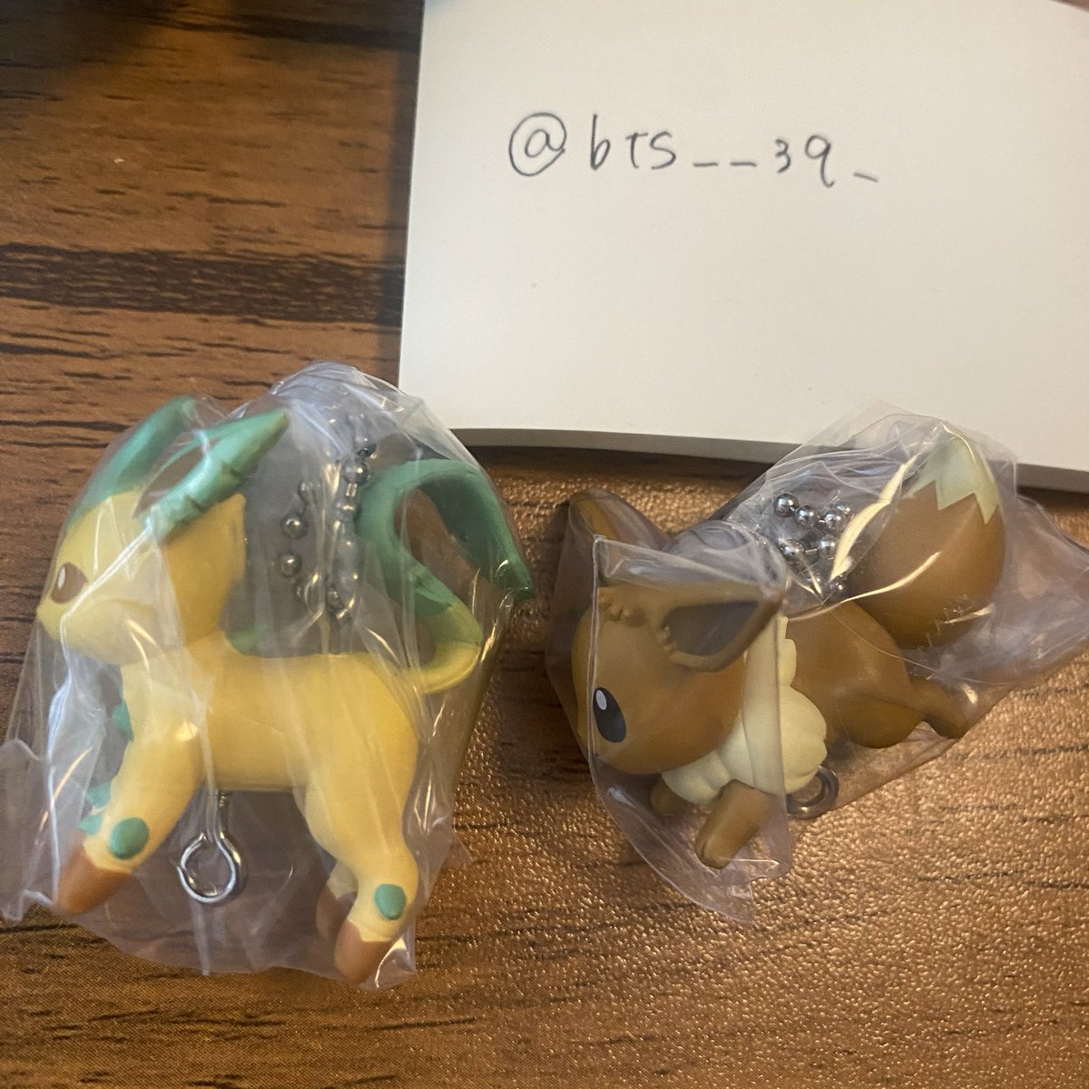 キノコ🍄 tweet media