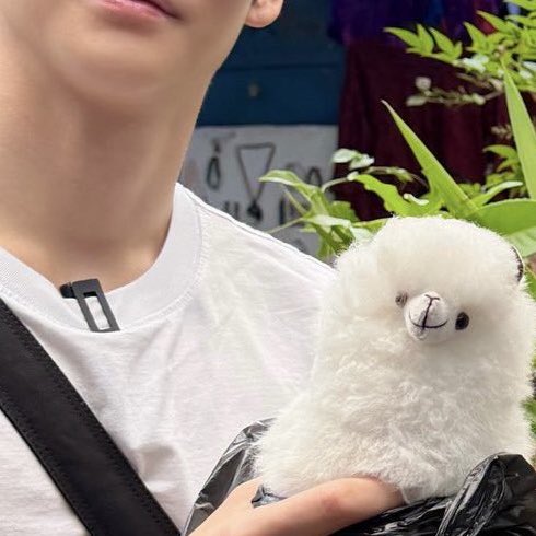 ☁️🐈 tweet media