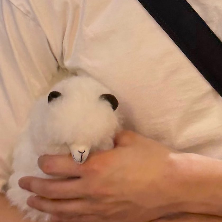 ☁️🐈 tweet media