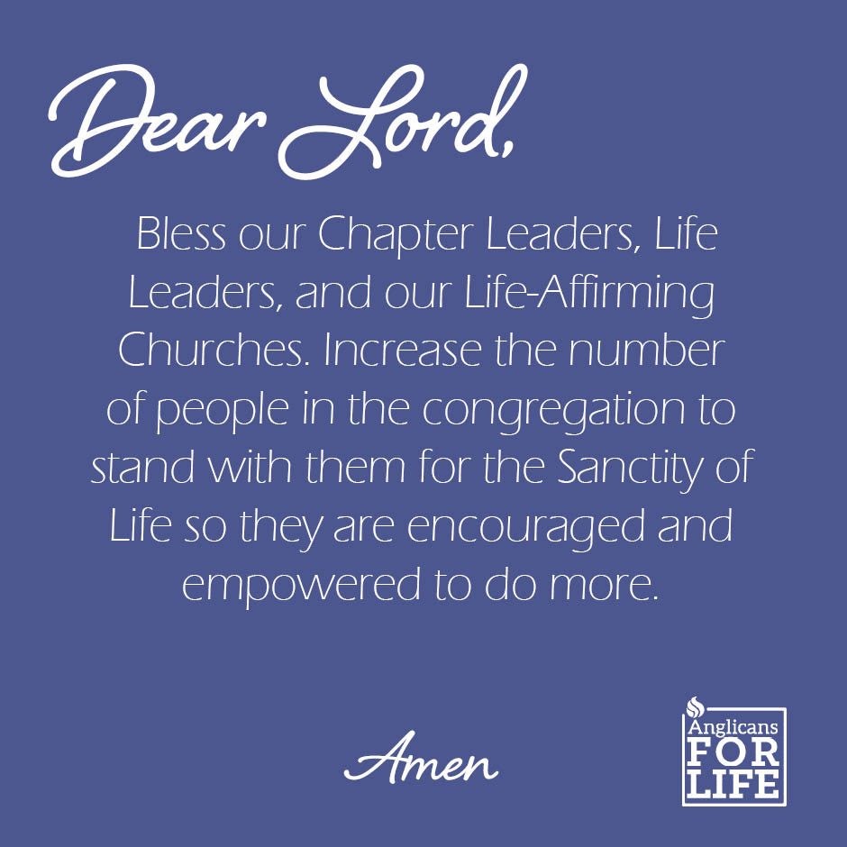 Anglicans For Life tweet media