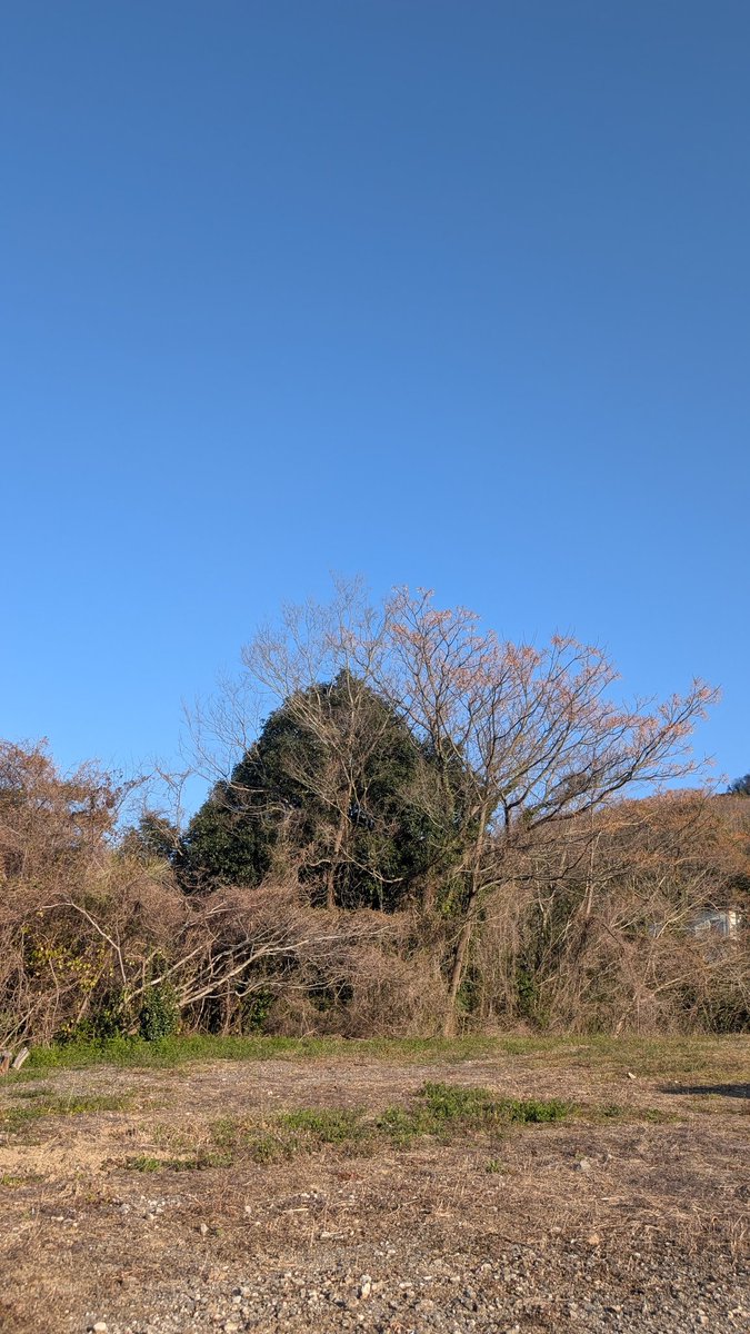 Dogsdailylifech's tweet photo. #空
#空模様
#空が好きな人と繋がりたい
#空の写真
#大崎上島
#GooglePixel9
【撮影機種】
日付︰令和8年3月17日【火曜日】天気は晴れ☀️☀️【快晴】今日は休日。 https://t.co/sehgHirD1B