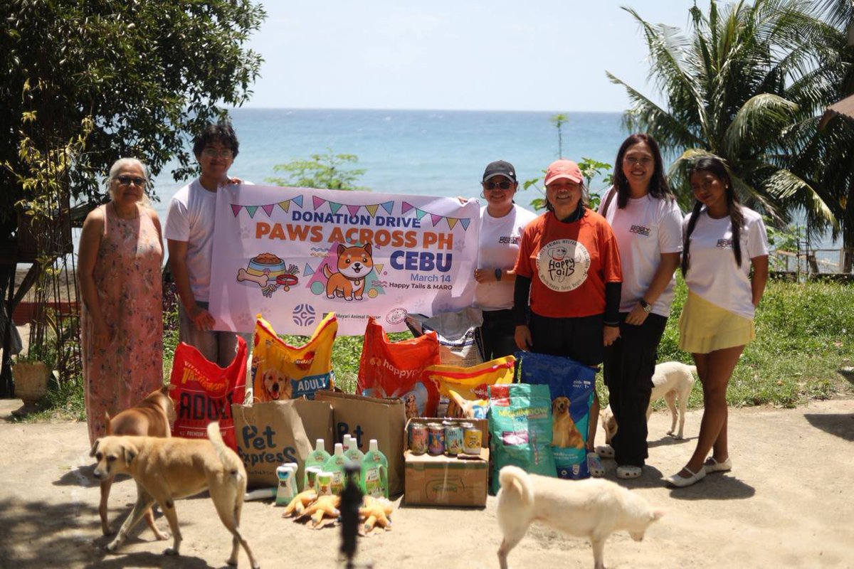 Baby Doge tweet media