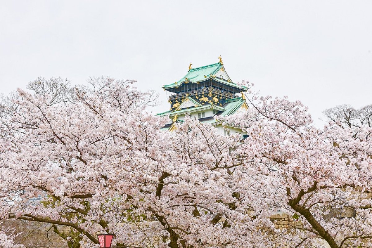 極上の旅図鑑 tweet media