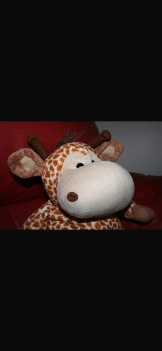 Layla and Teddy tweet media