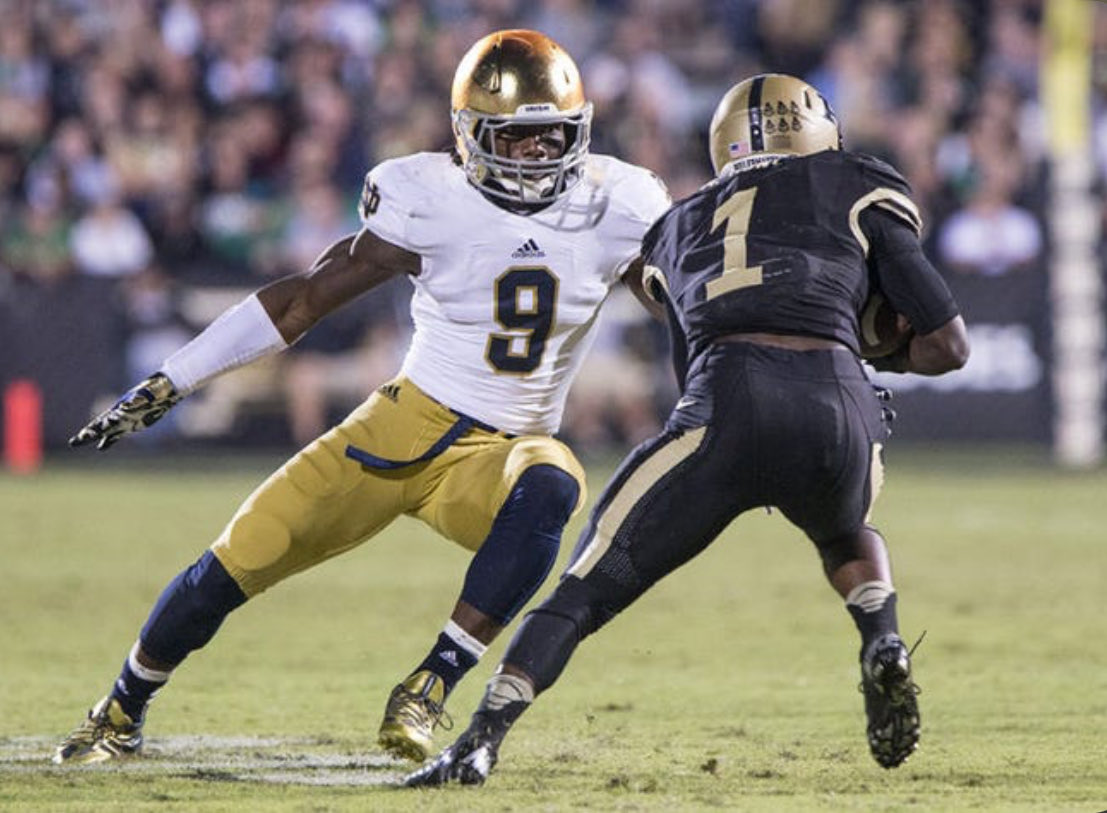 The Domerlorian ☘️ tweet media