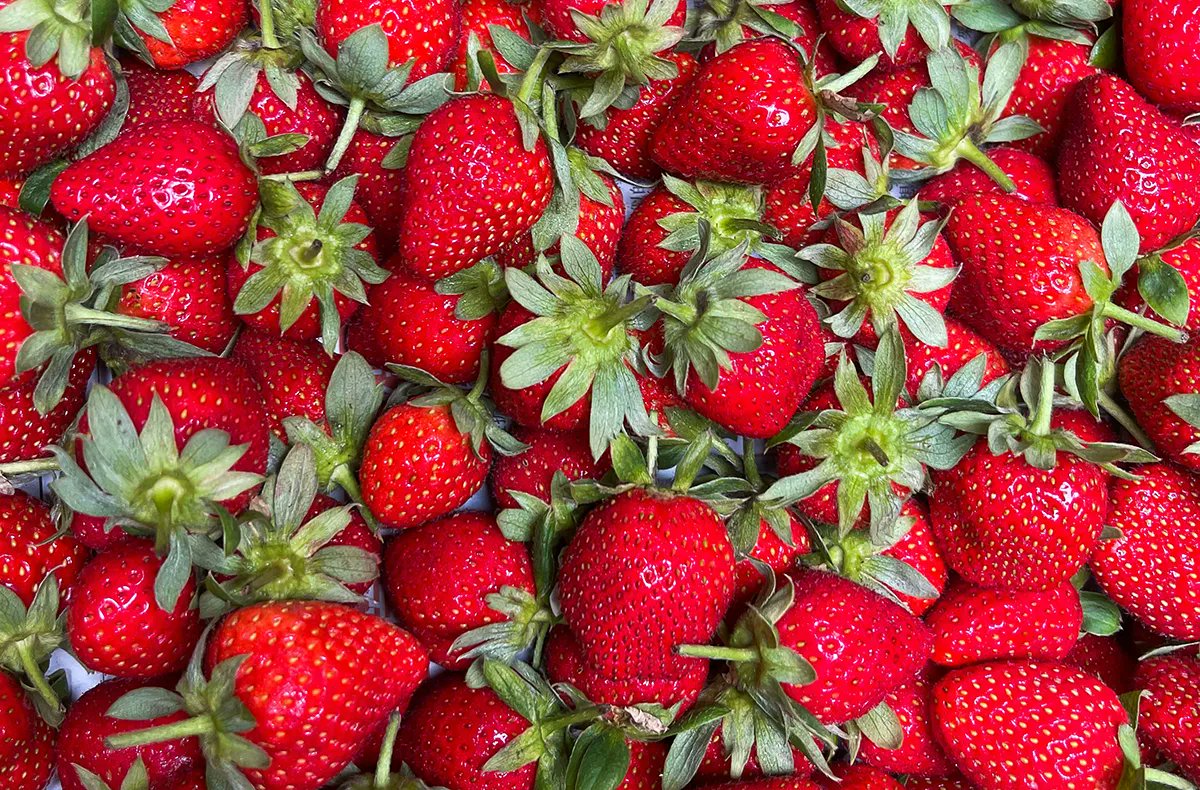 QS-System tweet media