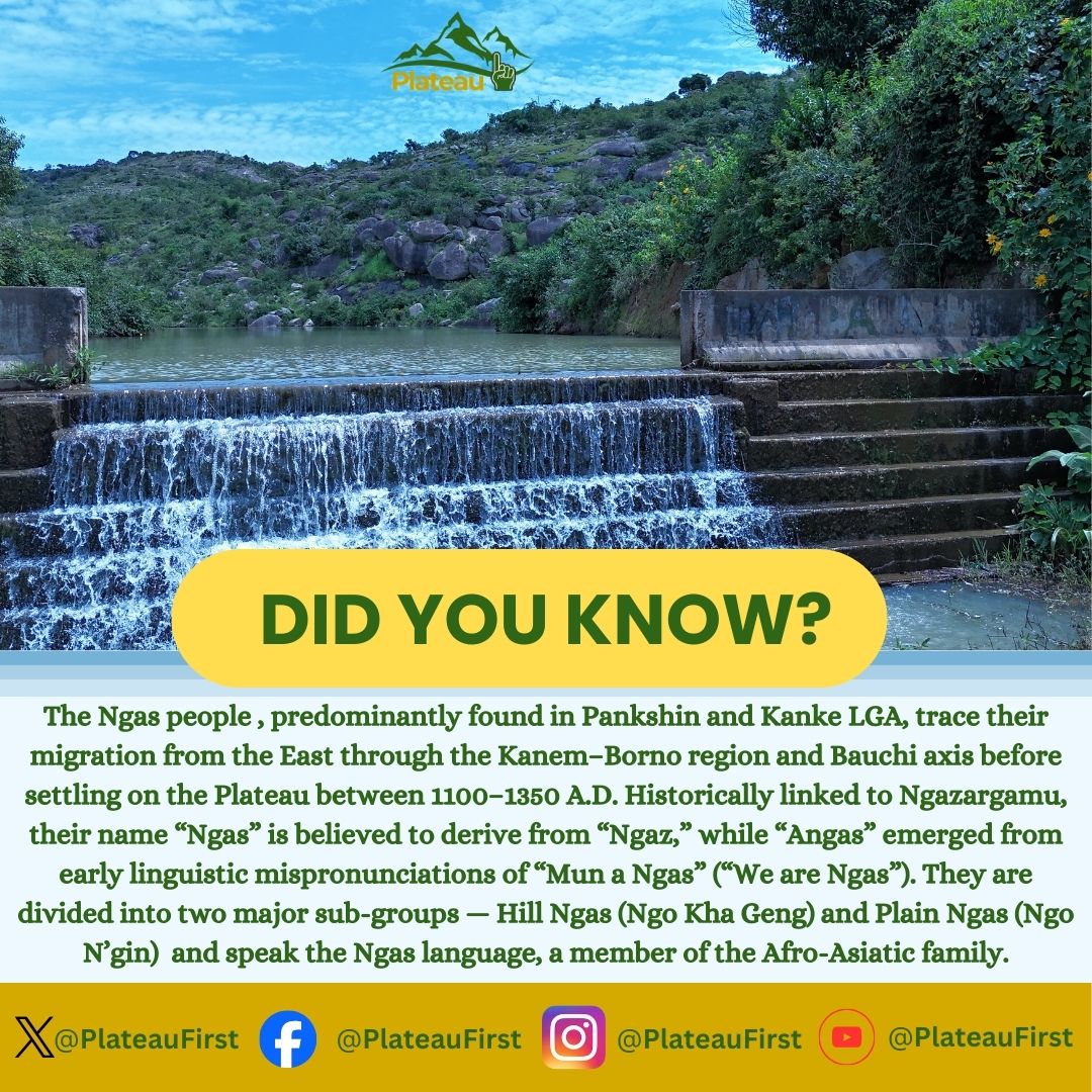 Plateau First tweet media