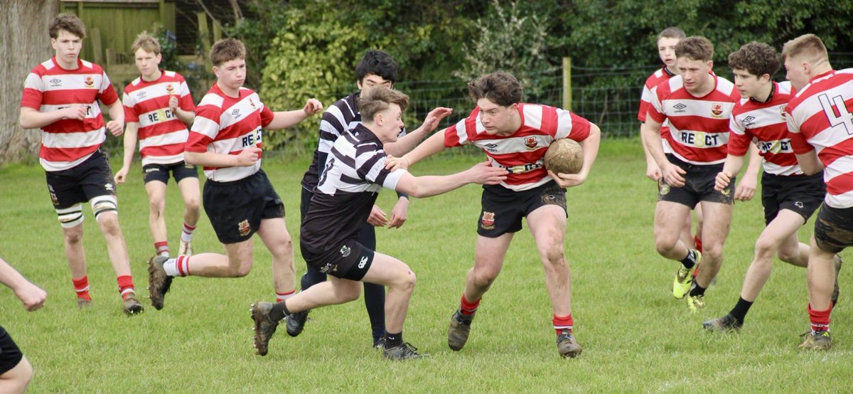 Midsomer Norton RFC tweet media