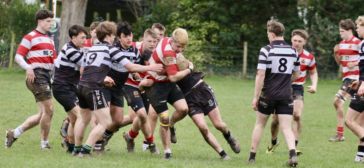 Midsomer Norton RFC tweet media