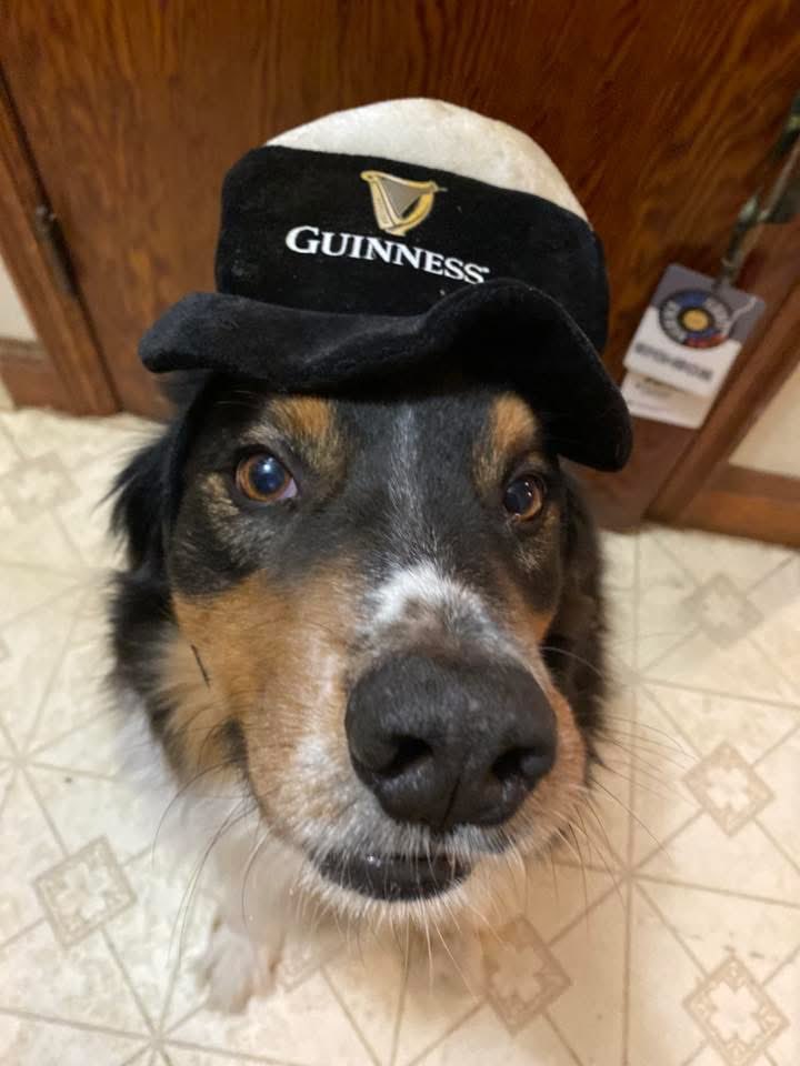 David Hiller tweet media