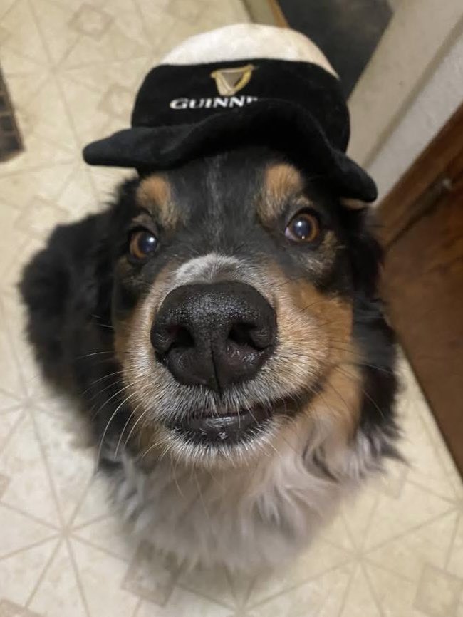 David Hiller tweet media