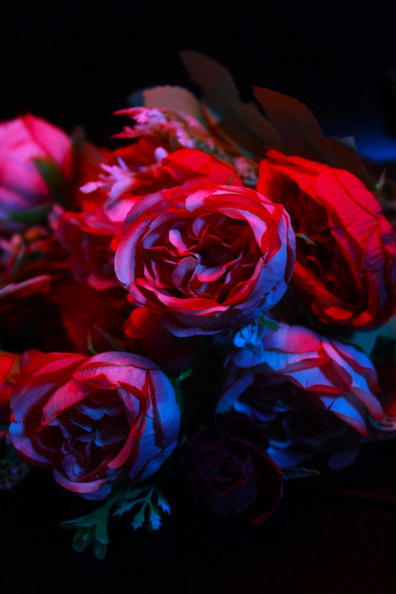 ART@HTHA tweet media