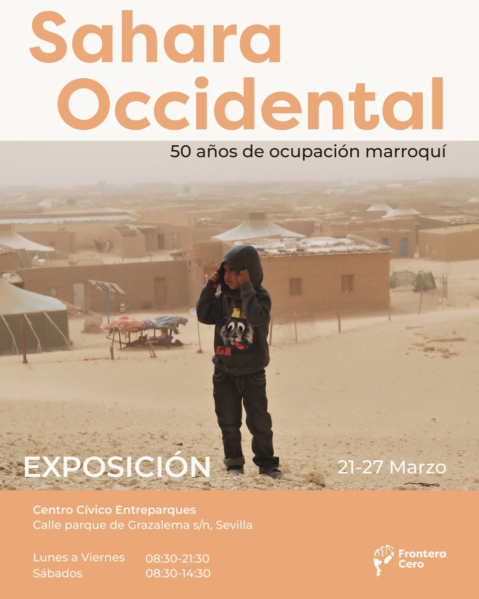 Raúl Febrer Torres 🔻 tweet media