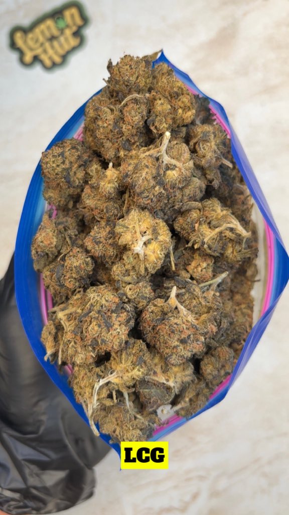 Lemon Hut🌳 tweet media