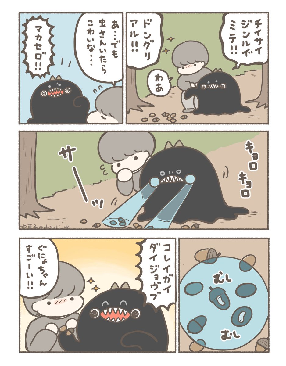どんぐり透視(1/2) 