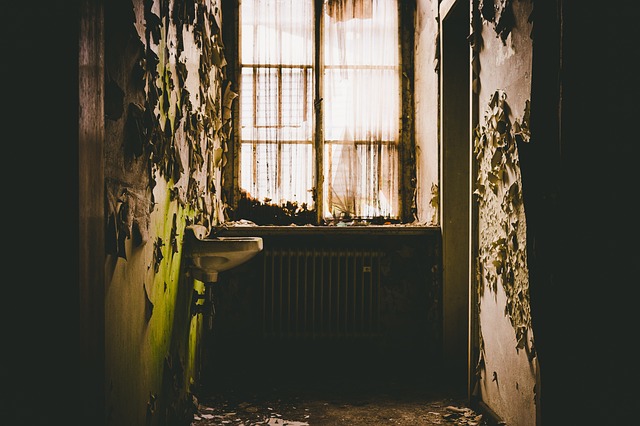 Brandt Genesis tweet media